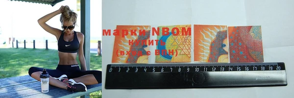 a pvp Инсар