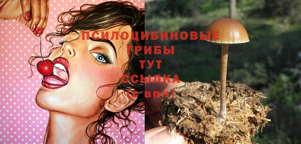 a pvp Инсар